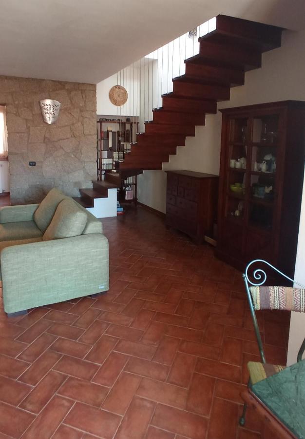 Violivia * Aggius